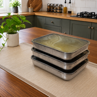 Stainless Steel Food Tray
