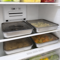 Stainless Steel Food Tray